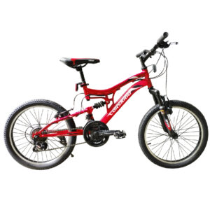 MTB Speed 20", 21 Velocidades